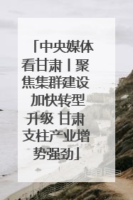 中央媒体看甘肃丨聚焦集群建设 加快转型升级 甘肃支柱产业增势强劲
