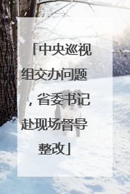 中央巡视组交办问题，省委书记赴现场督导整改