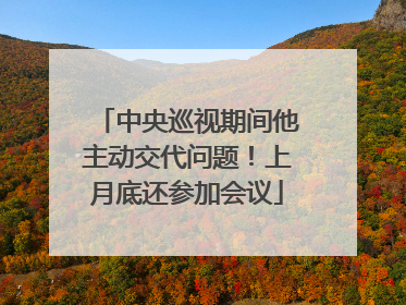 中央巡视期间他主动交代问题！上月底还参加会议