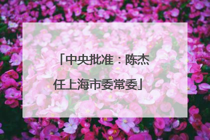 中央批准：陈杰任上海市委常委