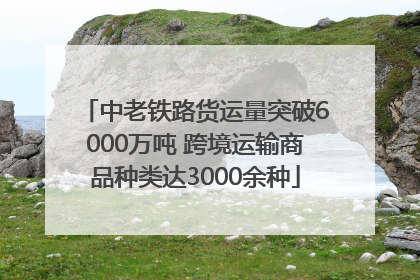 中老铁路货运量突破6000万吨 跨境运输商品种类达3000余种