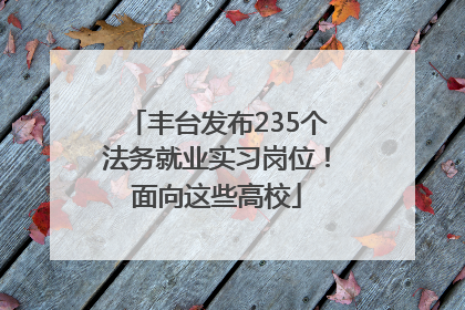 丰台发布235个法务就业实习岗位！面向这些高校