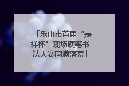 乐山市首届“嘉祥杯”现场硬笔书法大赛圆满落幕