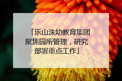 乐山洙幼教育集团聚焦园所管理，研究部署重点工作