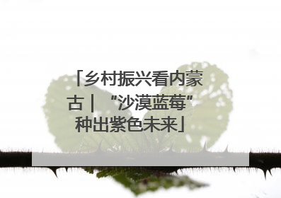 乡村振兴看内蒙古｜“沙漠蓝莓”种出紫色未来