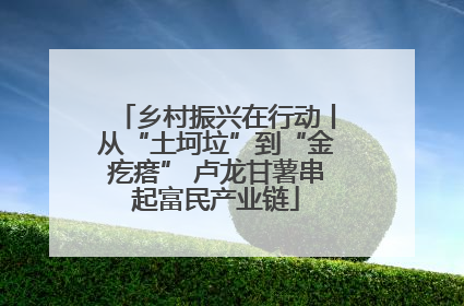 乡村振兴在行动丨从“土坷垃”到“金疙瘩” 卢龙甘薯串起富民产业链