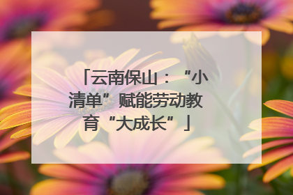 云南保山：“小清单”赋能劳动教育“大成长”