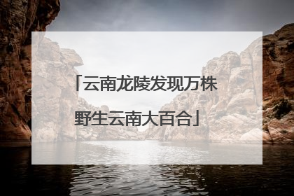 云南龙陵发现万株野生云南大百合