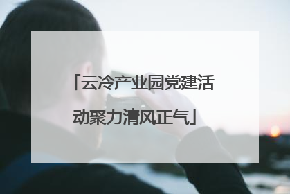 云冷产业园党建活动聚力清风正气