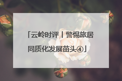 云岭时评丨警惕旅居同质化发展苗头④