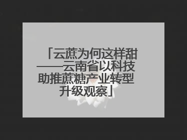 云蔗为何这样甜——云南省以科技助推蔗糖产业转型升级观察