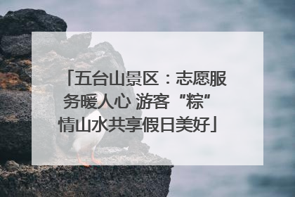 五台山景区：志愿服务暖人心 游客“粽”情山水共享假日美好