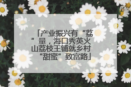 产业振兴有“荔”量，海口秀英火山荔枝王铺就乡村“甜蜜”致富路