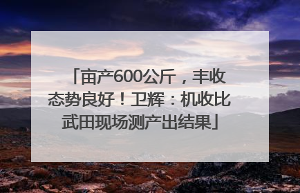 亩产600公斤，丰收态势良好！卫辉：机收比武田现场测产出结果