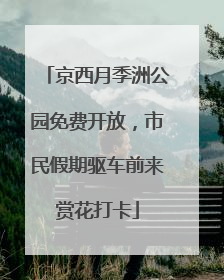 京西月季洲公园免费开放，市民假期驱车前来赏花打卡