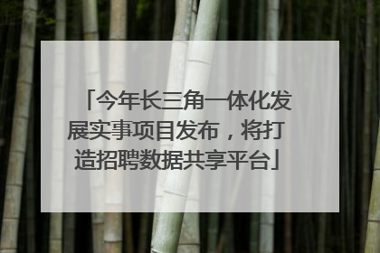 今年长三角一体化发展实事项目发布，将打造招聘数据共享平台