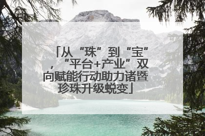 从“珠”到“宝”，“平台+产业”双向赋能行动助力诸暨珍珠升级蜕变