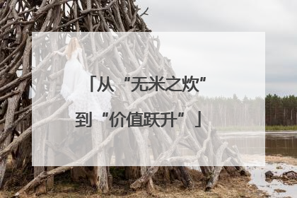 从“无米之炊”到“价值跃升”