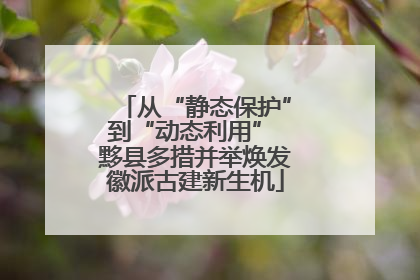 从“静态保护”到“动态利用” 黟县多措并举焕发徽派古建新生机