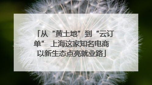 从“黄土地”到“云订单” 上海这家知名电商以新生态点亮就业路