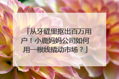 从牙缝里抠出百万用户！小鹿妈妈公司如何用一根线撬动市场？