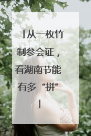 从一枚竹制参会证，看湖南节能有多“拼”