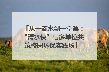 从一滴水到一堂课：“清水侠”与多单位共筑校园环保实践场