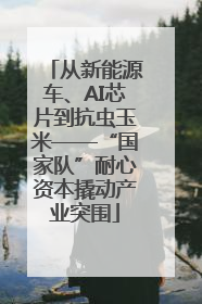 从新能源车、AI芯片到抗虫玉米——“国家队”耐心资本撬动产业突围