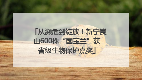 从濒危到绽放！新宁崀山600株“国宝兰”获省级生物保护嘉奖