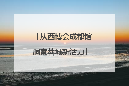 从西博会成都馆洞察蓉城新活力
