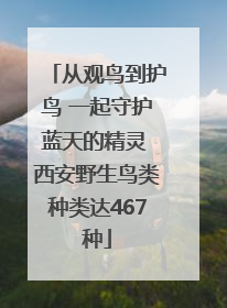 从观鸟到护鸟 一起守护蓝天的精灵 西安野生鸟类种类达467种