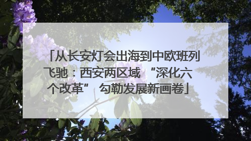 从长安灯会出海到中欧班列飞驰：西安两区域 “深化六个改革” 勾勒发展新画卷