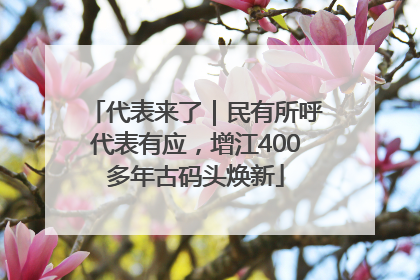 代表来了｜民有所呼代表有应，增江400多年古码头焕新