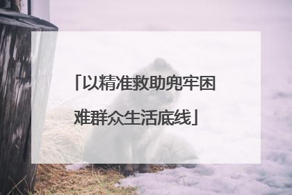 以精准救助兜牢困难群众生活底线