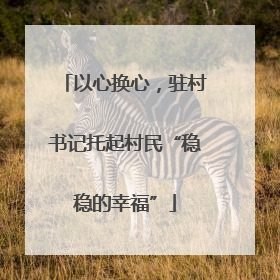 以心换心，驻村书记托起村民“稳稳的幸福”