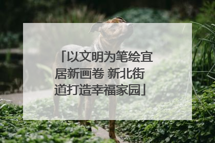 以文明为笔绘宜居新画卷 新北街道打造幸福家园