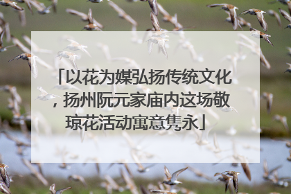 以花为媒弘扬传统文化，扬州阮元家庙内这场敬琼花活动寓意隽永