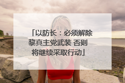 以防长：必须解除黎真主党武装 否则将继续采取行动