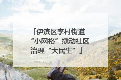 伊滨区李村街道 “小网格”撬动社区治理“大民生”