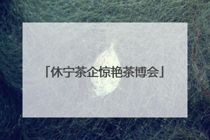 休宁茶企惊艳茶博会