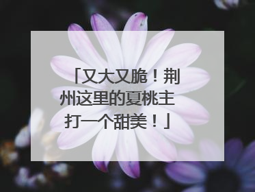 又大又脆！荆州这里的夏桃主打一个甜美！