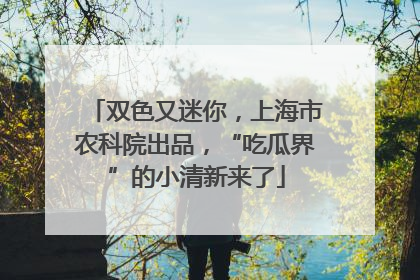 双色又迷你，上海市农科院出品，“吃瓜界”的小清新来了