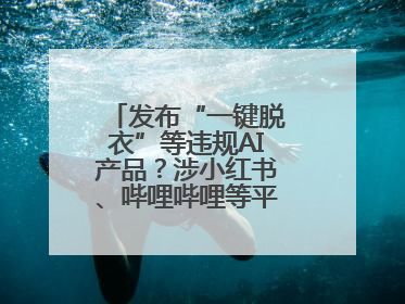 发布“一键脱衣”等违规AI产品？涉小红书、哔哩哔哩等平台！上海出手
