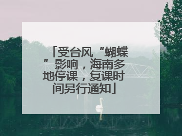受台风“蝴蝶”影响，海南多地停课，复课时间另行通知