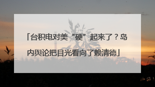 台积电对美“硬”起来了？岛内舆论把目光看向了赖清德