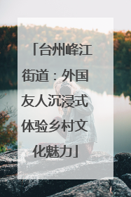 台州峰江街道：外国友人沉浸式体验乡村文化魅力
