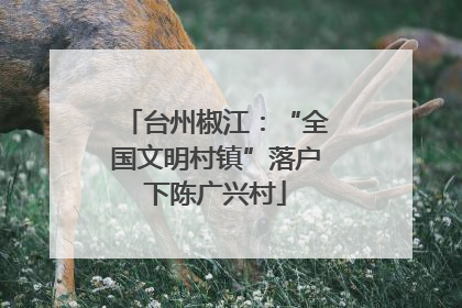 台州椒江：“全国文明村镇”落户下陈广兴村