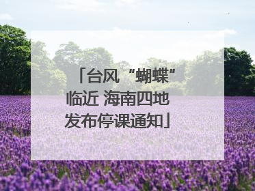 台风“蝴蝶”临近 海南四地发布停课通知