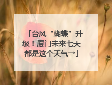台风“蝴蝶”升级！厦门未来七天都是这个天气→