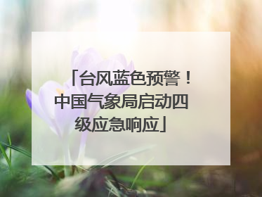台风蓝色预警！中国气象局启动四级应急响应